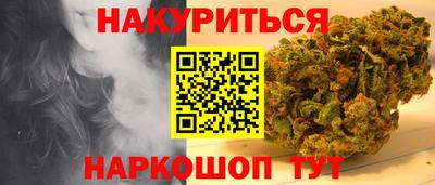 амф Кингисепп
