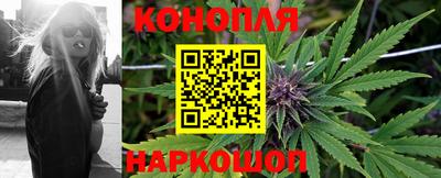 индика Кимры