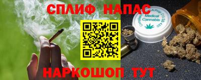 амф Кингисепп