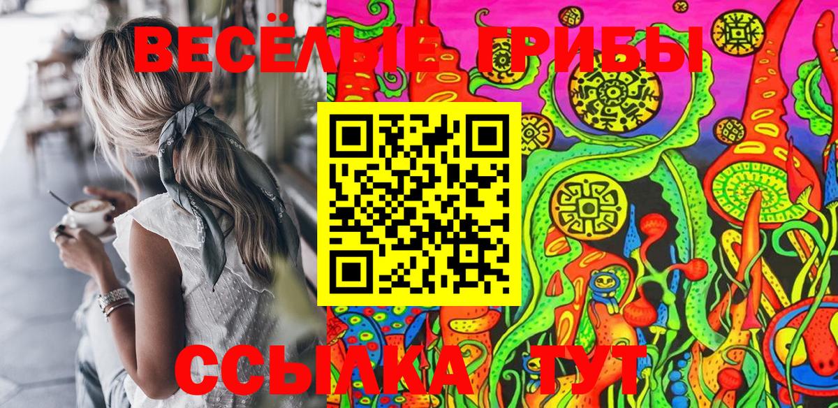 Галлюциногенные грибы Cubensis Киселёвск