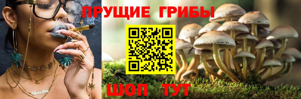 Галлюциногенные грибы мухоморы  Псилоцибиновые грибы мухоморы  Киселёвск  Вход с VPN 